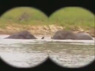 Parque kruger: gratis kruger parque sucio película vídeo fa